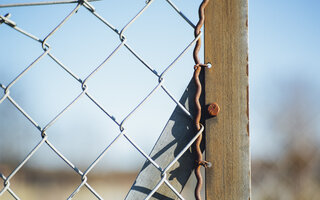Close-up of a fence