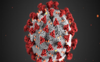 Illustration of the Corona Virus