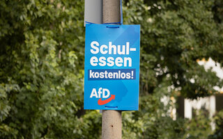 AfD Wahlplakat "Schulessen kostenlos!"