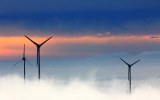 Wind power plants in fog at sunset