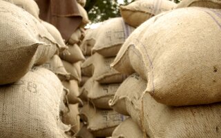 Stacked sacks of cocoa