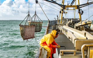 Seaman hauling up the catch