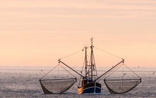 Fishing boat out at sea